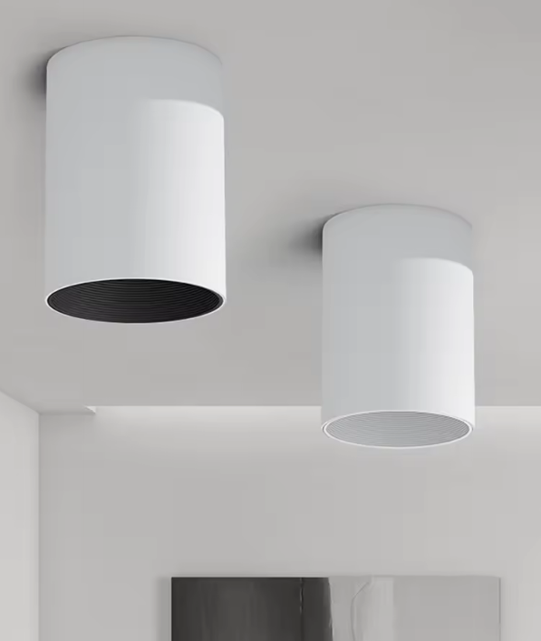 BDL Series surface mounted cylinder downlight - ceiling mount, two sizes