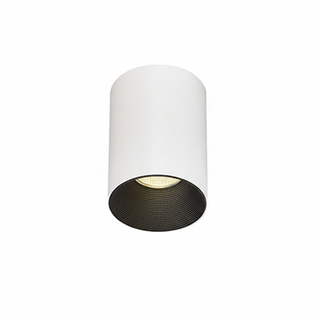 BDL Series Surface Mount LED Downlight