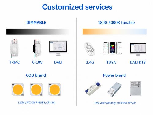 Customized Services - DansLED