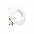 TDL Series Retrofit LED Downlight
